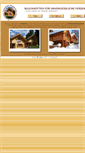 Mobile Screenshot of ferienhuetten-zimmermann.at